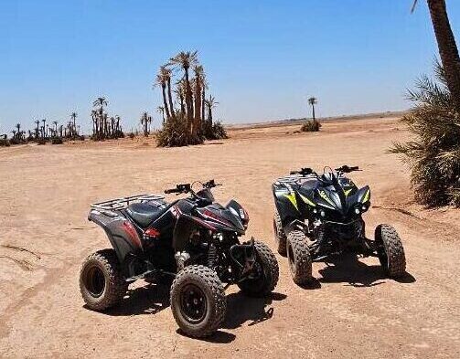 quad marrakech palmeraie désert d'agafay lac lalla takerkoust maroc excursion