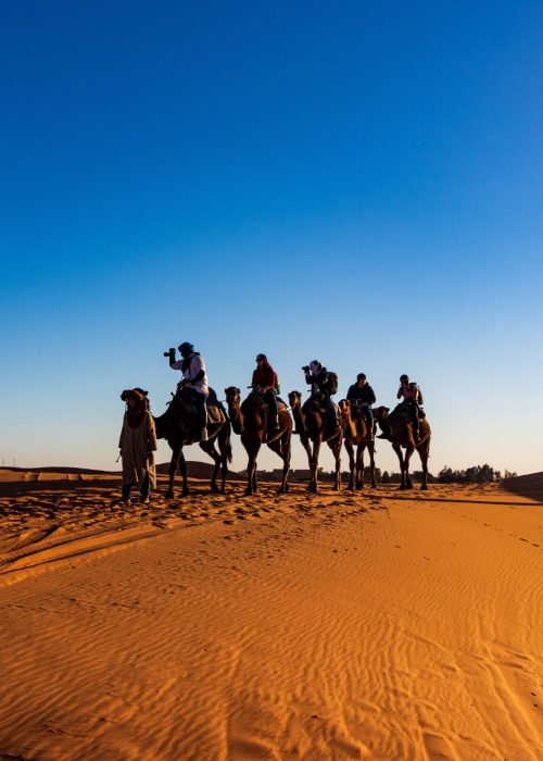 balade dromadaire camel ride désert agafay palmeraie marrakech maroc