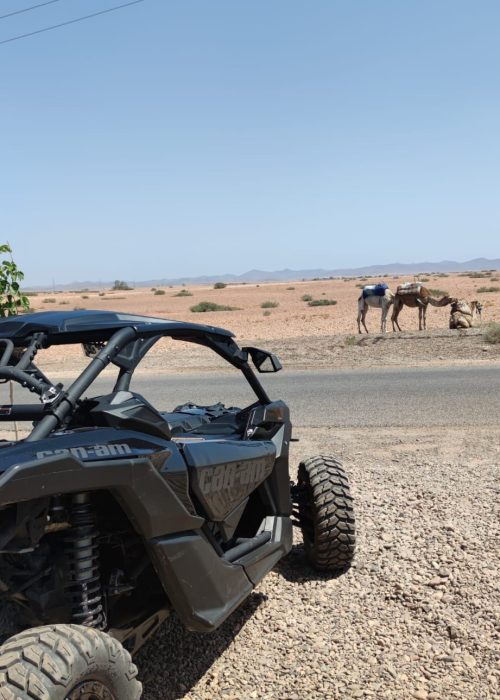 buggy marrakech palmeraie désert d'agafay lac lalla takerkoust maroc excursion