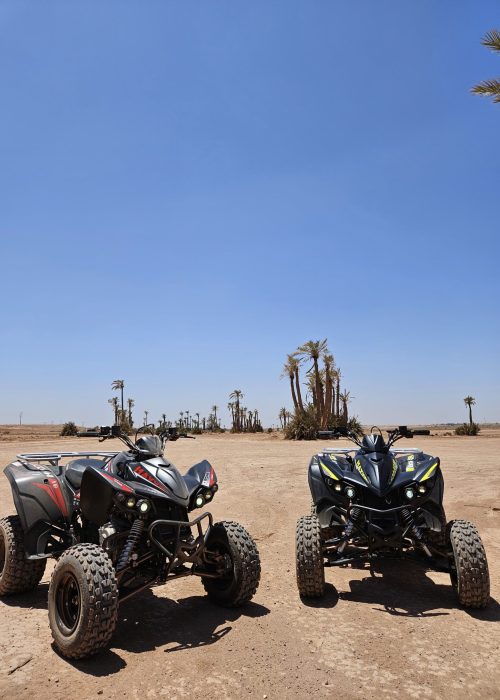 quad marrakech palmeraie désert d'agafay lac lalla takerkoust maroc excursion