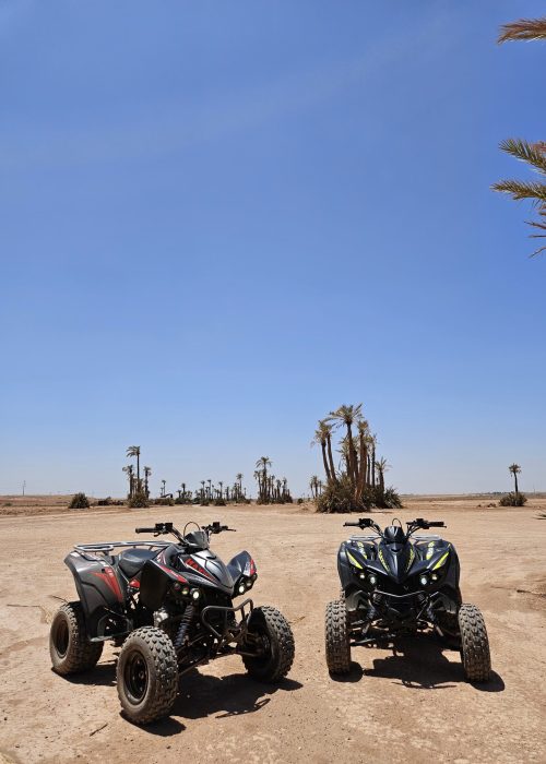 quad marrakech palmeraie désert d'agafay lac lalla takerkoust maroc excursion