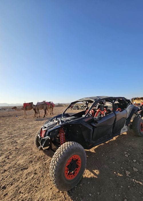 buggy marrakech palmeraie désert d'agafay lac lalla takerkoust maroc excursion dromadaire camel