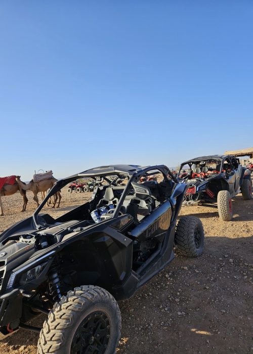 buggy quad marrakech palmeraie désert d'agafay lac lalla takerkoust maroc excursion dromadaire camel