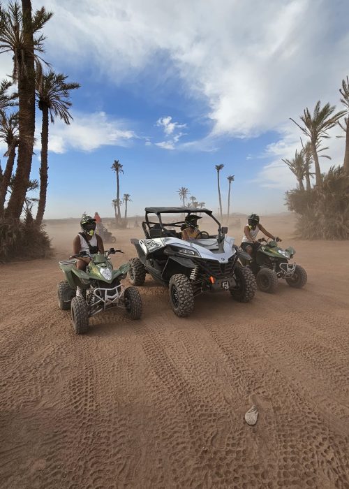 quad-buggy-palmeraie-marrakech-action