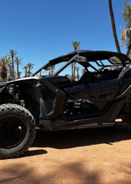 buggy sport marrakech palmeraie désert d'agafay lac lalla takerkoust maroc excursion