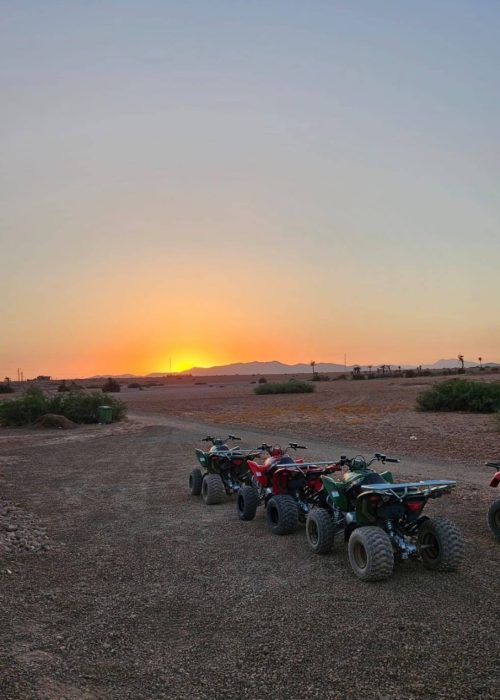 quad marrakech palmeraie désert d'agafay lac lalla takerkoust maroc excursion