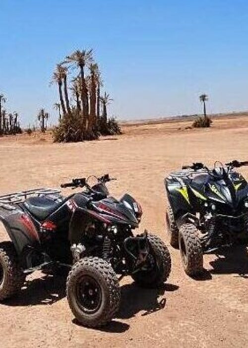 quad marrakech palmeraie désert d'agafay lac lalla takerkoust maroc excursion