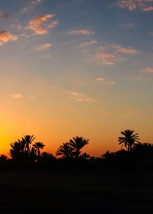 sunset couché de soleil palmeraie marrakech maroc